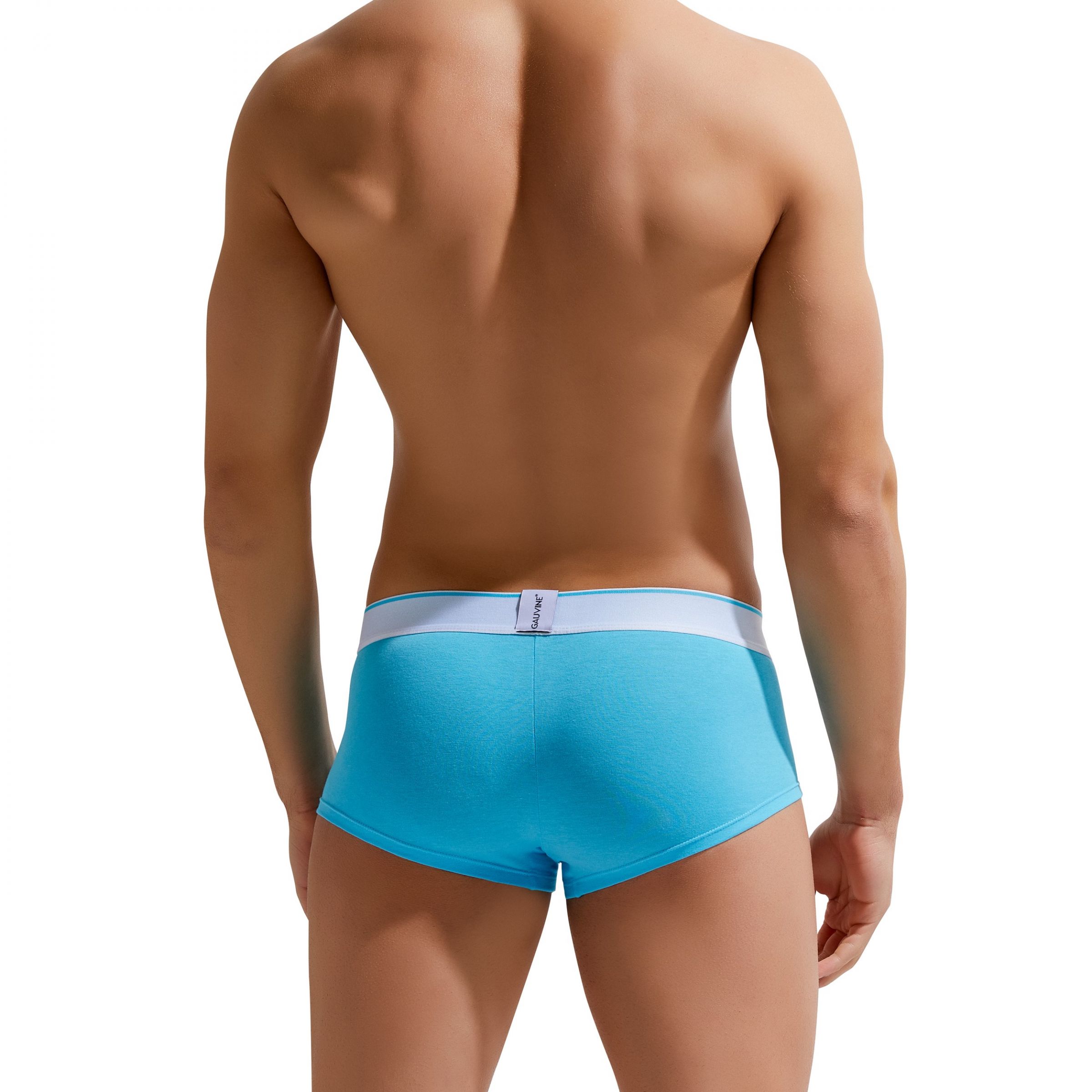 Мужские трусы-хипсы Colours of the Planet Trunk 2