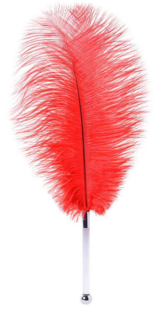 Красное страусиное пёрышко - 40 см. 1