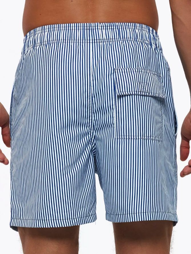 Темно-синие пляжные шорты в полоску 2