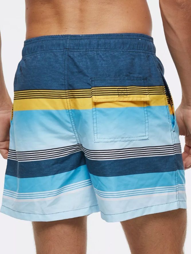 Сине-голубые пляжные шорты в полоску 2