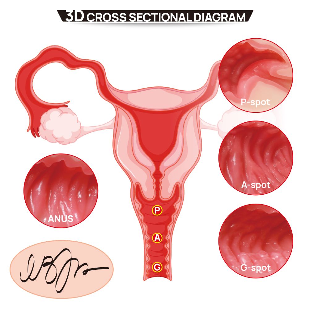 Мастурбатор-полуторс с двойным слоем материала и вибрацией Vanilla Onahole 8