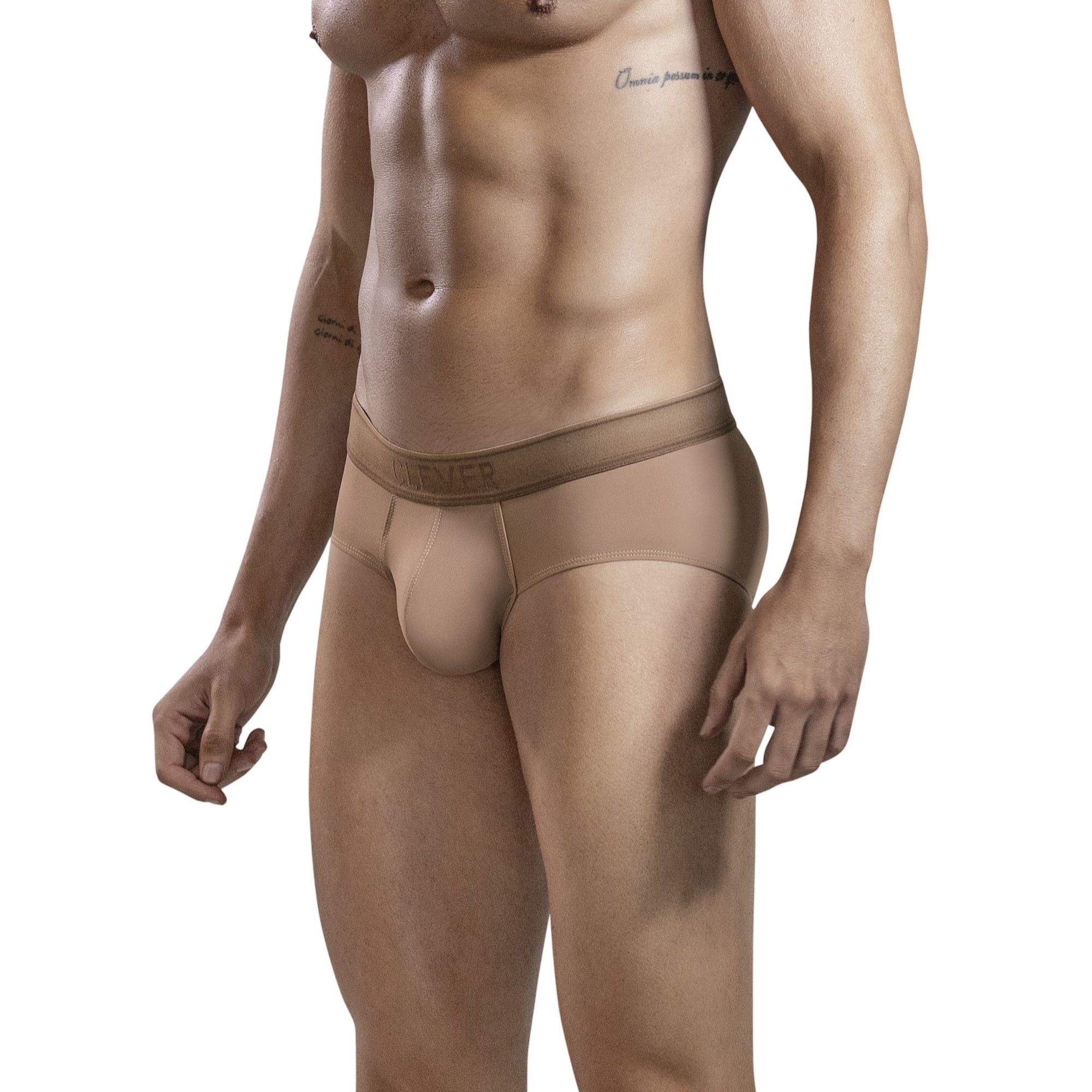 Коричневые трусы-брифы Britanica Classic Brief 2
