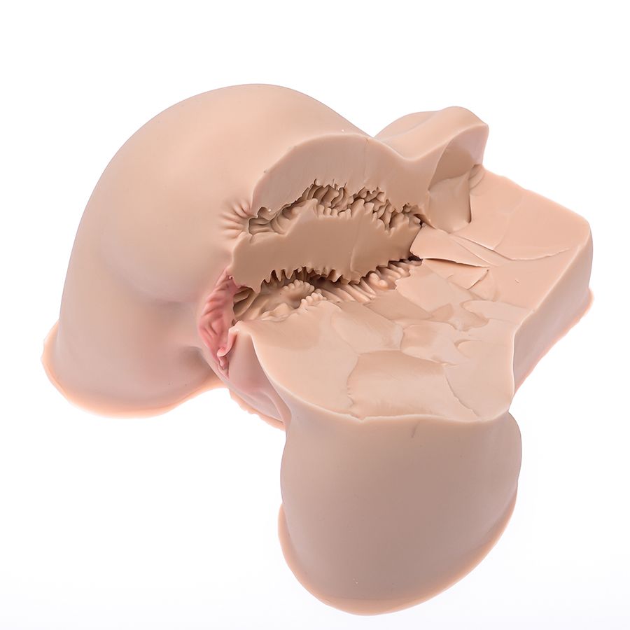 Мастурбатор-полуторс Naked Factory Kate 2