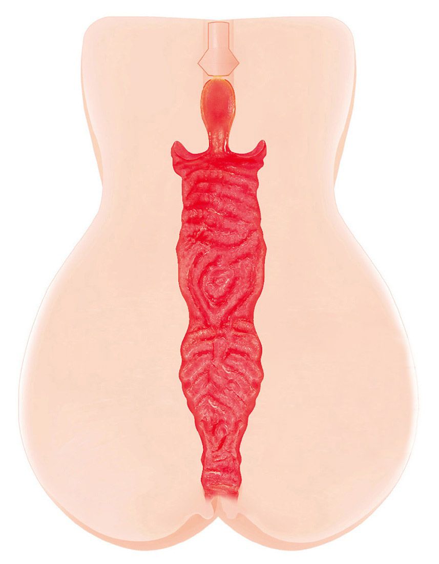 Мастурбатор-вагина с двойным слоем материала Jenny Onahole edition 005 5