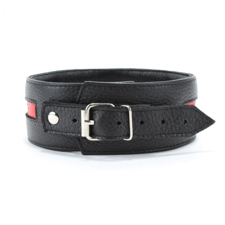 Черно-красный ошейник на пряжке 3