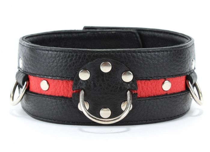 Черно-красный ошейник на пряжке 1
